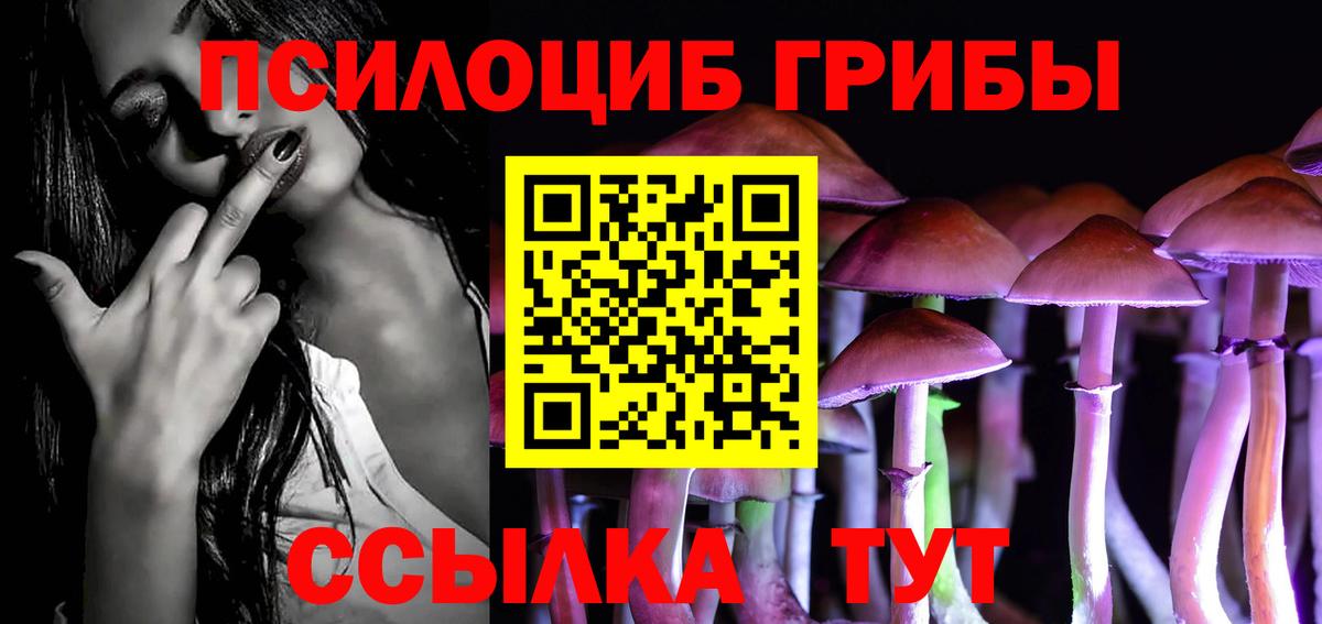 Галлюциногенные грибы мицелий Малоярославец